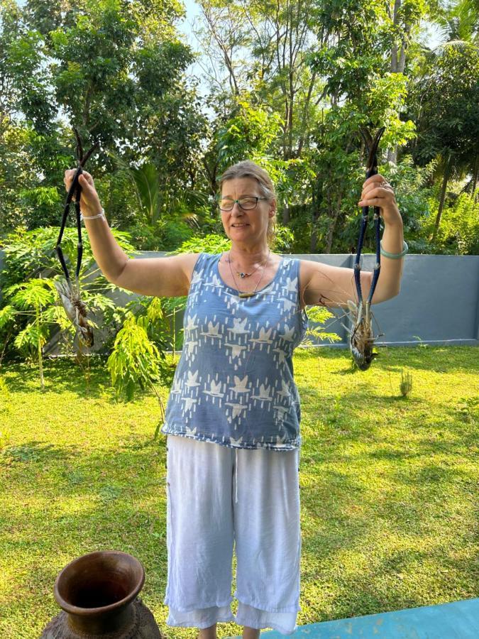 Amba Kola Udawalawa Hotell Udawalawe Eksteriør bilde